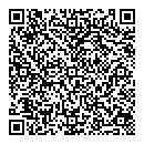 QR код "Ramis Group"
