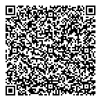 QR код "DVI Холдинг"