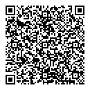 QR код "Динамо"