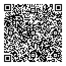 QR код "Adidas Kids"