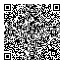 QR код "Созвездие"