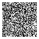 QR код "Mega Style"