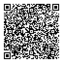QR код "Armadillo"