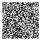 QR код "Solomon"