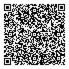 QR код "Самрук НС 2010"