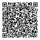 QR код "Fenics VIK"