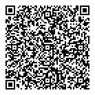 QR код "Modelizm.kz"