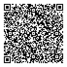 QR код "Silk Way City"