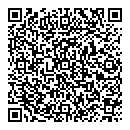 QR код "Фикус"