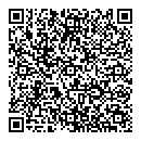 QR код "Сатурн"