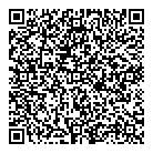 QR код "Метеор"