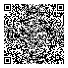 QR код "VIP CARS KZ"