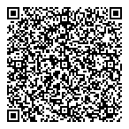 QR код "Alais Surveys"