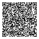 QR код "JET Airlines"