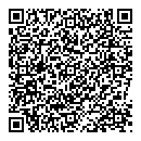 QR код "Динамо"