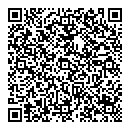 QR код "Camelot"