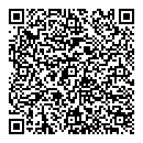 QR код "Пчелка"