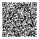 QR код "Боровичок"