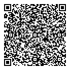 QR код "Домино"