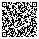 QR код "Блеск"