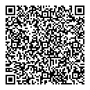 QR код "Flasн"