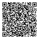 QR код "ДанДИ"