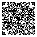 QR код "Nefertiti"