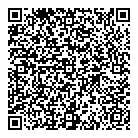 QR код "Solo"