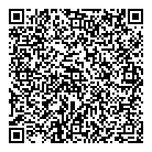 QR код "Домино"