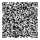 QR код "Темирлан-V, ТОО"