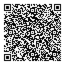 QR код "Барс"