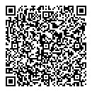 QR код "Спутник"