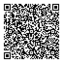 QR код "Temirline.KZ"