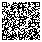 QR код "Геолсъемка 2010"