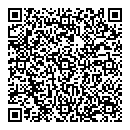 QR код "Camelot"