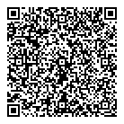 QR код "Глобус"