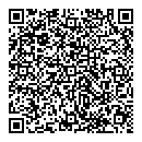 QR код "Galaxy"