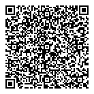 QR код "220 volt"