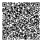 QR код "Андромеда"