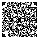 QR код "Anis print"