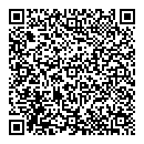QR код "Молния"