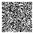 QR код "Давида"