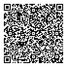 QR код "Little Star"