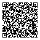 QR код "DV Style"