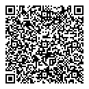 QR код "Silver light"