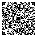 QR код "Пчёлка"