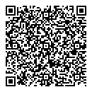 QR код "Висла"