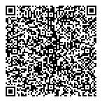 QR код "Диод и Троид"
