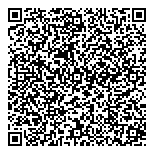 QR код "Ligerion"