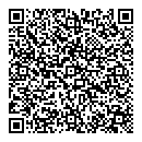 QR код "Тэсла"